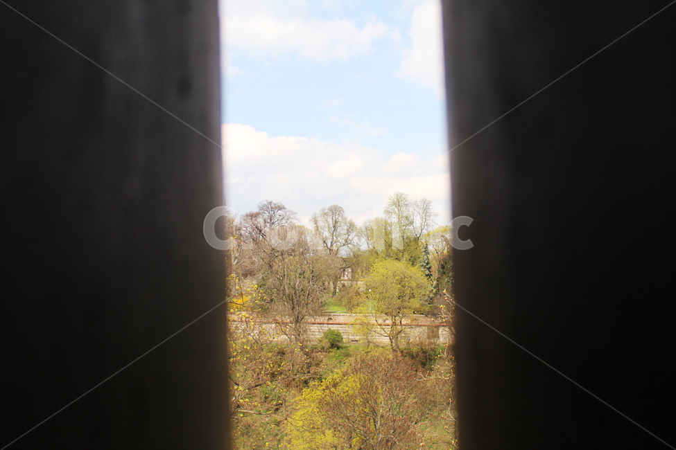 숲,나무,틈,포레스트,하늘,forest,수풀,wood,thicket,nature