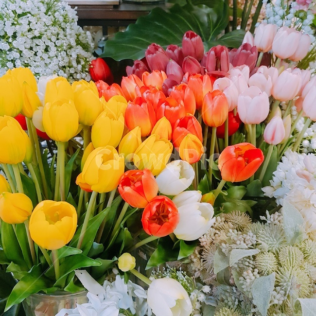 튤립,꽃,조화,봄,많은꽃,꽃다발,flower,blossom