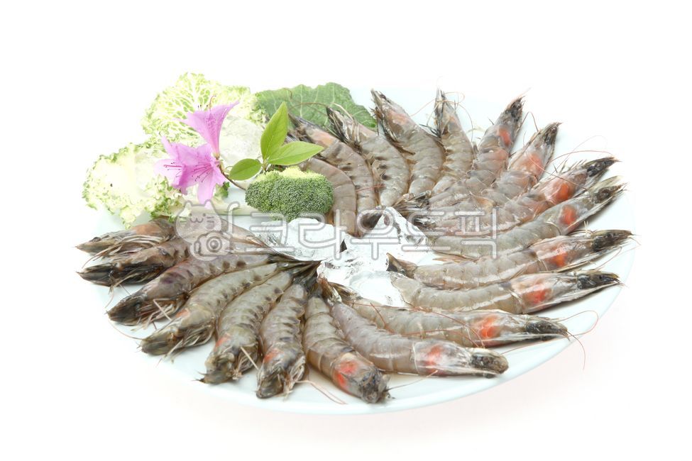 새우,흰다리새우,새우생물,새우재료,수산물,화이트새우,새우요리