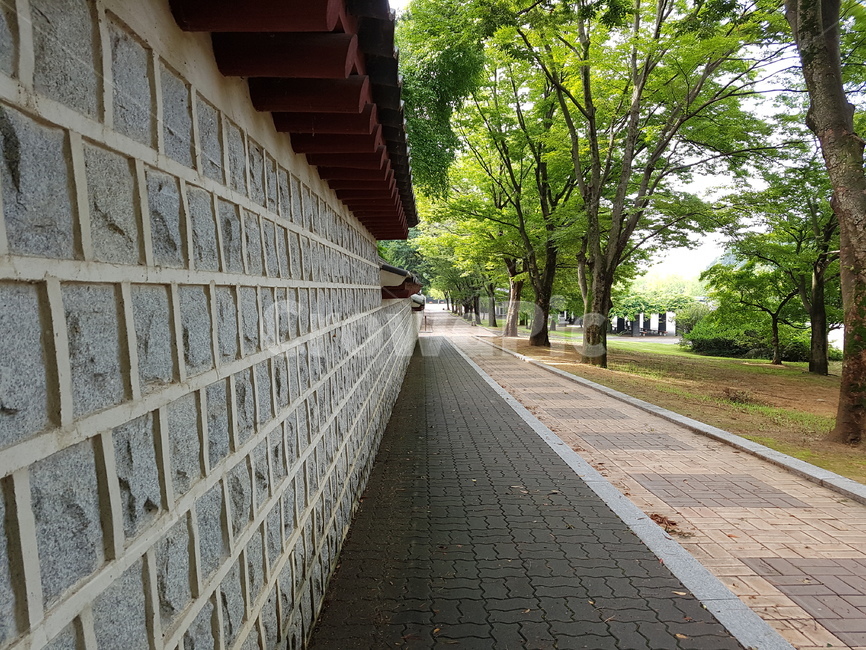 path,통로,walkway,보도,돌담길,나무,가로수