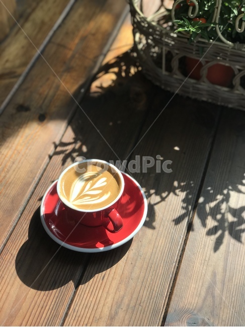 커피,라떼아트,튤립,커피아트,카페라떼,coffee,latteart,tulip,coffeeart,cafelatte,음료수,drink,beverage,커피,카페,coffee,cafe