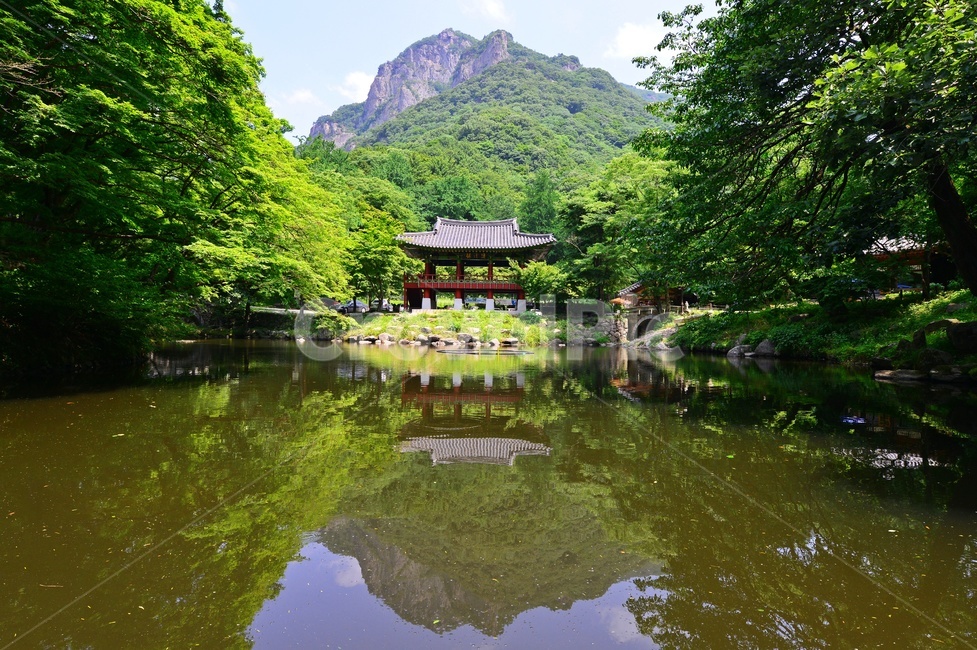 nature,자연,water,물,outdoors,옥외,장성,백양사,쌍계루,백학봉,연못,반영,연두색