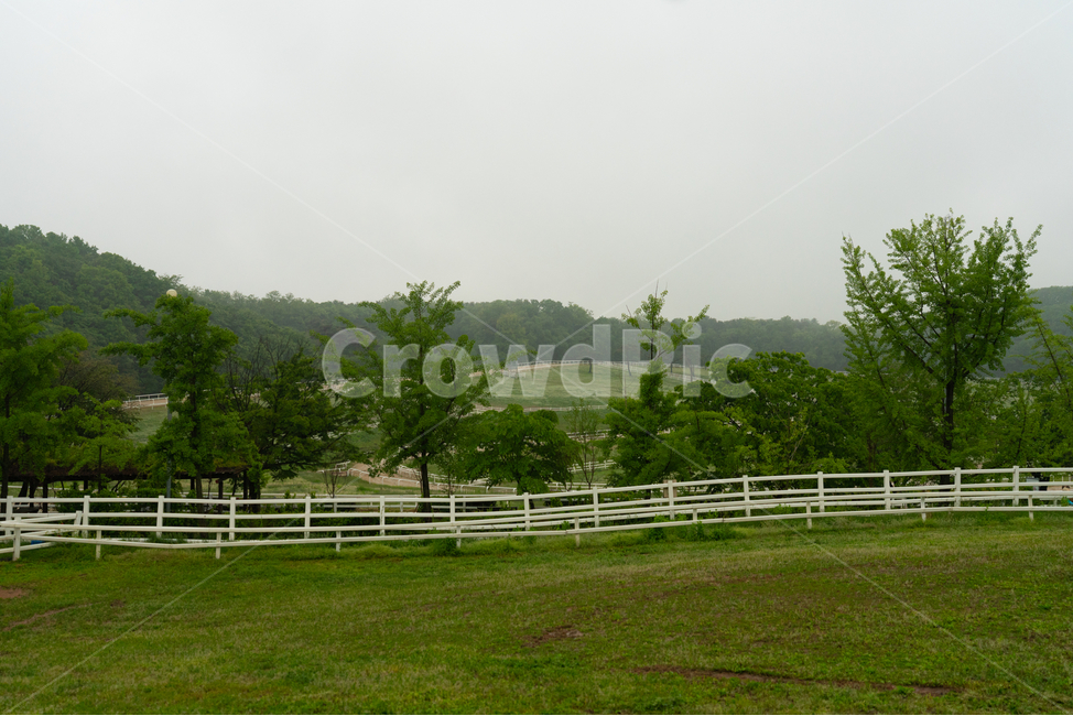 종마공원,울타리,초원,나무,들,풀,fence,tree,steppe,grassland,자연,풍경,nature,landscape