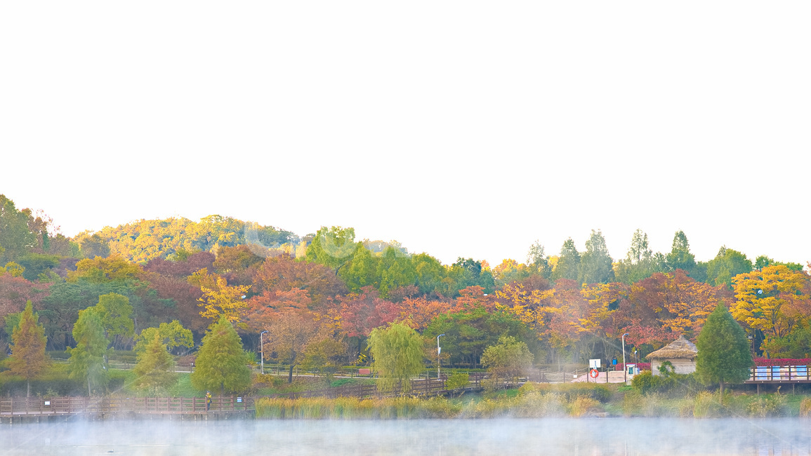 물안개,안개,가을,단풍,풍경,자연,호수,산,가을,계절,fall,autumn,season,자연,풍경,nature,landscape,한국자연풍경,한국자연경관,korea nature landscape,water,물,outdoors,옥외
