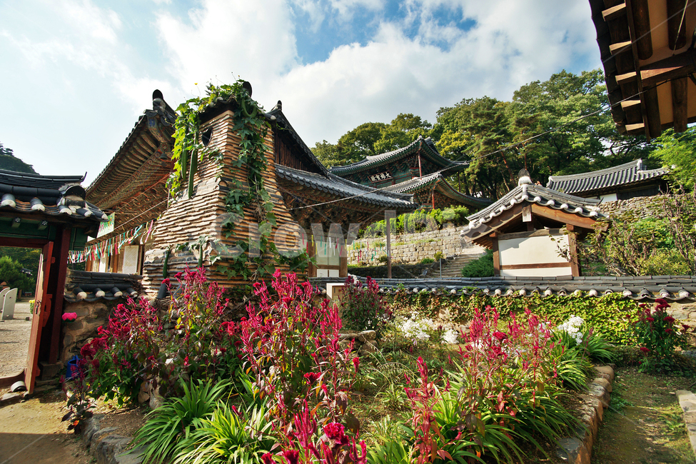 마곡사,공주,염화당,정원,돌담,자연,전통,한국전통,한국문화,korean traditional,korean culture,건축물,건물외관,exterior,building,structure,architecture,construction