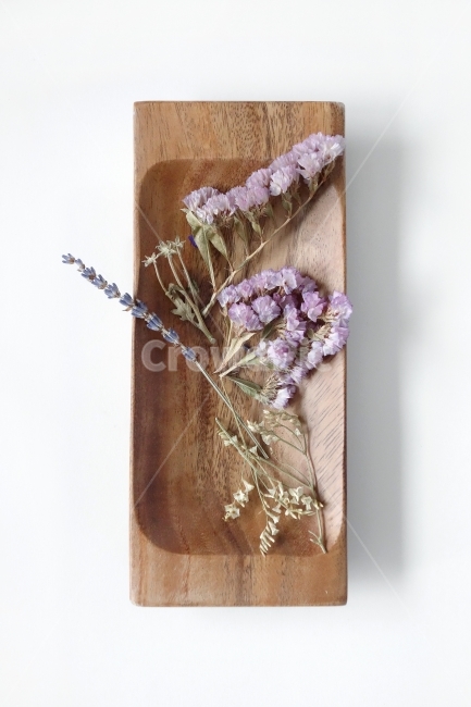 나무접시,드라이플라워,말린꽃,소품,데코,꽃,원목그릇,나무그릇,접시,prop,object,woodenplate,dryflower,dryplan,decoration,accessories,whitebackground,event,기념일,축하,anniversary,congratulation,celebrate,celebration,사물,물건,오브젝트,thing,object,matter,연출,컨셉,콘셉,direction,concept,누끼,remove background
