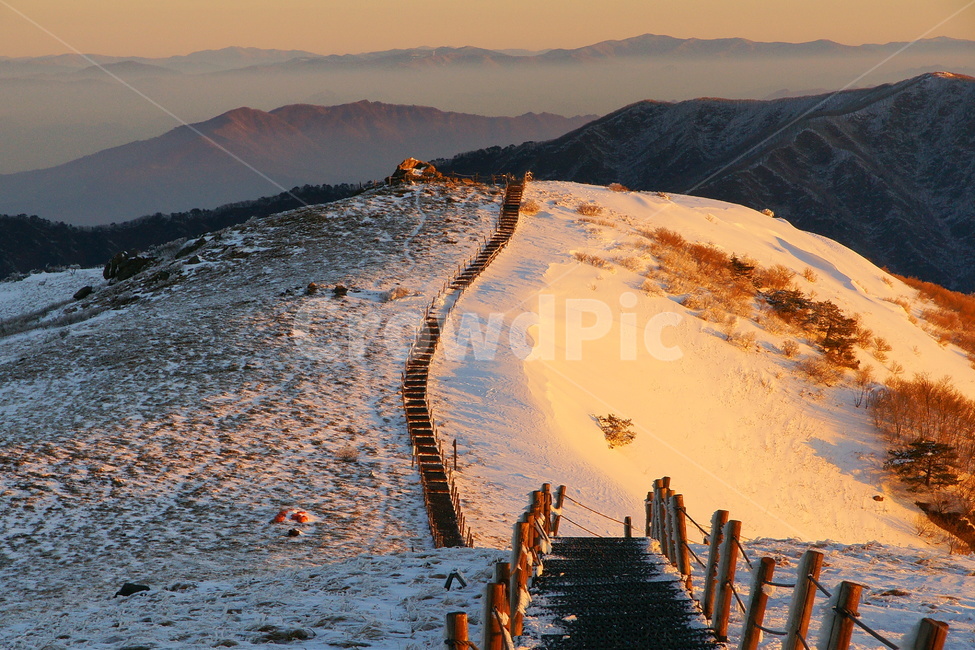 겨울,설경,소백산,눈,일출,겨울,계절,winter,season,자연,풍경,nature,landscape,한국자연풍경,한국자연경관,korea nature landscape,soil,흙,outdoors,옥외,sand,모래