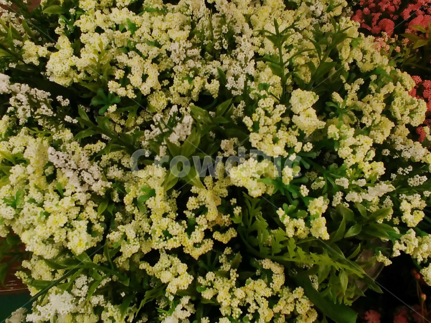 꽃,꽃다발,디스플레이,플라워,flowers,배경,바탕,장식,데코레이션,꽃잎,칼라,color,식물,축하,조화,배경화면