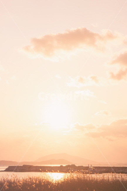 바다,일몰,갯벌,만,풍경,자연,하늘,구름,태양,해,햇빛,해안,바닷가,갈대,sea,sunset,sunfall,sunlight,bay,nature,landscape,sky,cloud,sun,항구,port,자연,풍경,nature,landscape,한국자연풍경,한국자연경관,korea nature landscape,색깔,색상,색채,색감,color sense,color sensitivity,feeling of color,outdoors,옥외