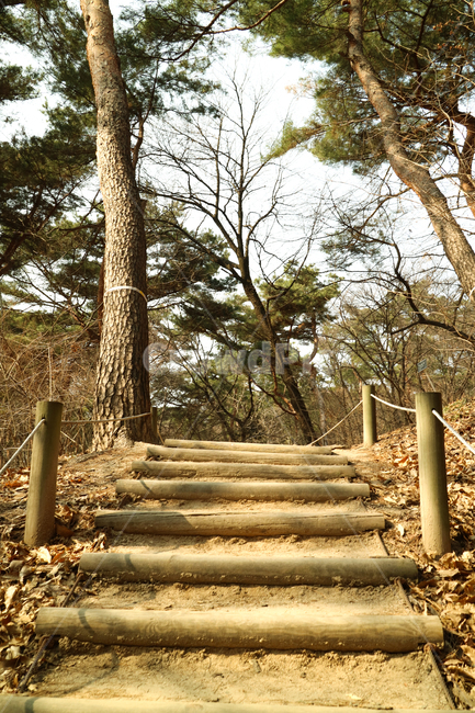 길,계단,등산로,나무계단,나무,숲,울타리,나무기둥,난간,언덕,경사,로우뷰,로우앵글,산책,산책로,등산,자연,풍경,nature,landscape,staircase
