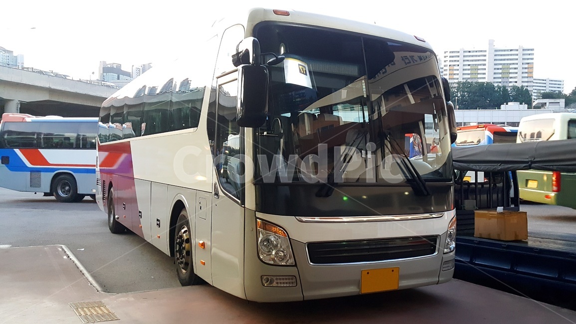 차량,버스,터미널,교통,bus,교통,교통수단,traffic,transportation