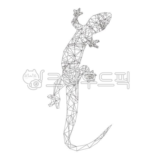 geometric pattern,chameleon,Lizard,snake,reptile,salamander,frog,Constellation,Gaeko,geometry,lizard