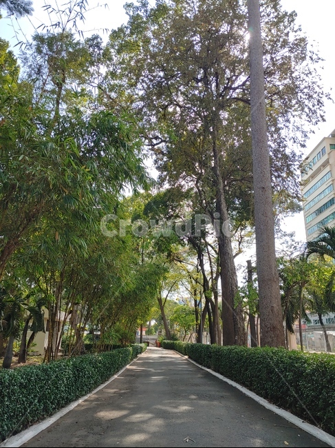 grass,treetrunk,나무줄기,lawn,잔디,park,공원,plant,식물,tree,나무,길,road,숲길,숲,forest,garden,정원,nature,자연