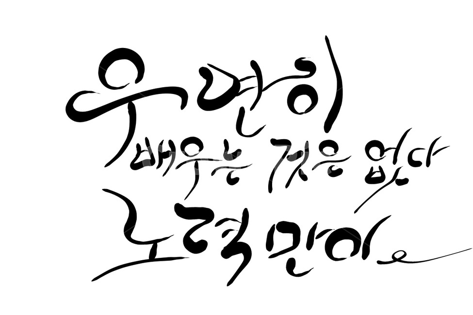 캘리그라피,손글씨,노력,배움,우연