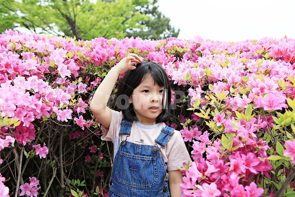 여자아이,아이,어린이,사람,자연,배경