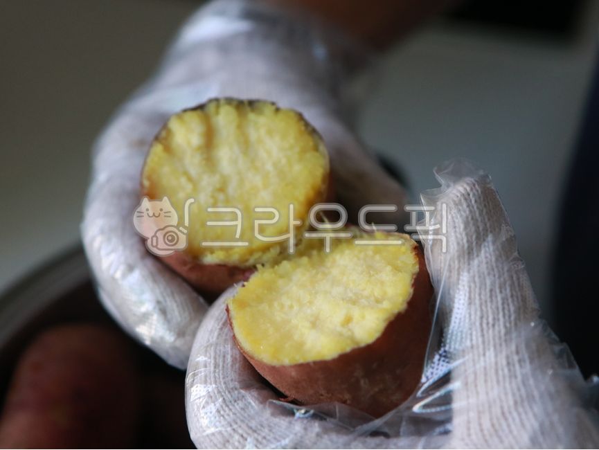 sweet potato,Honey sweet potato,Pumpkin Sweet Potato,cook,recipe,food,meal,Roasted Sweet Potato,Haenam Sweet Potato,Beni Haruka,ingredients,steam,First love sweet potato,Steamed,cooking,sweet,Chestnuts and Sweet Potatoes,roast