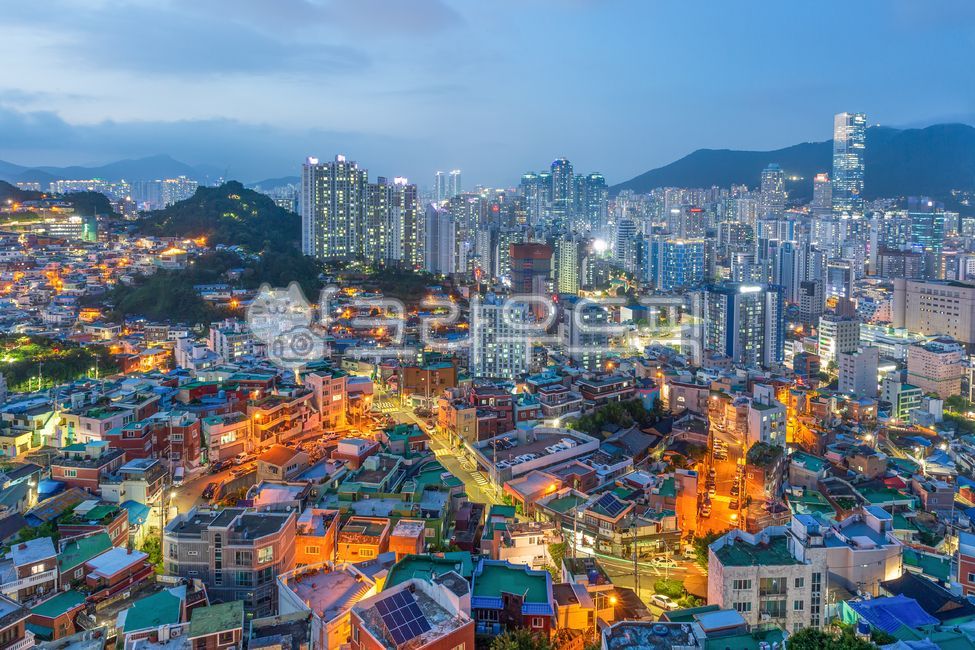 night view,nightscene,Busan Donggu Library,light,city,mountain road,nightview,building