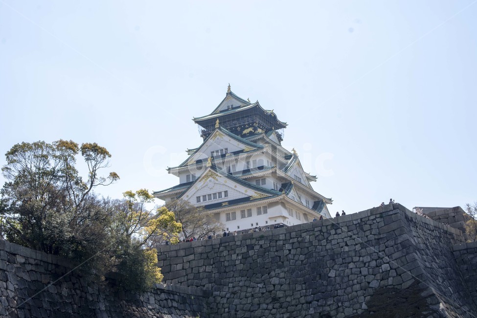 해자,해자외성,물,벽,오사카성,건축물,castle,성,building,건물,architecture