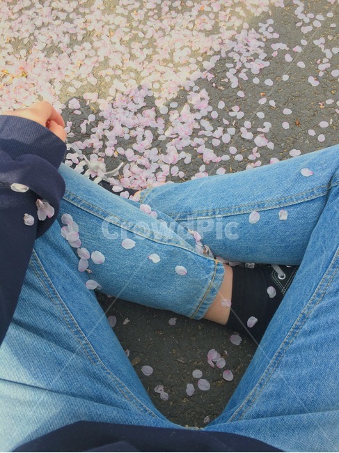 봄,벚꽃,벚꽃잎,청바지,벚꽃엔딩