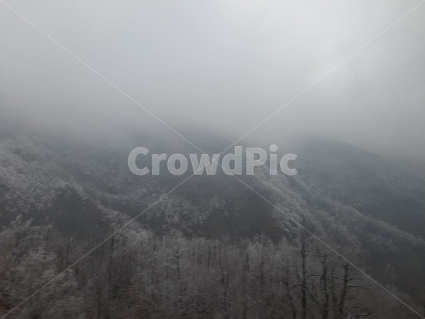 겨울,설산,분위기,눈,포근함,겨울,계절,winter,season,자연,풍경,nature,landscape,weather,날씨,outdoors,옥외