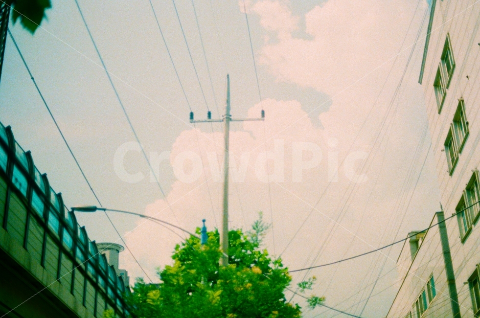하늘,자연,구름,풍경,나무,건물,도시,지하철,화창한,여름,감성사진,필름사진,sky,tree,nature,city,building,metro,summer,sensitive,film,도시,풍경,city,landscape,감성,sensible,feeling
