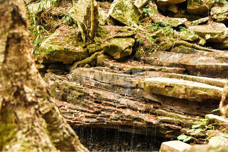 계곡,계단식계곡,물,자연,creek,자연,풍경,nature,landscape