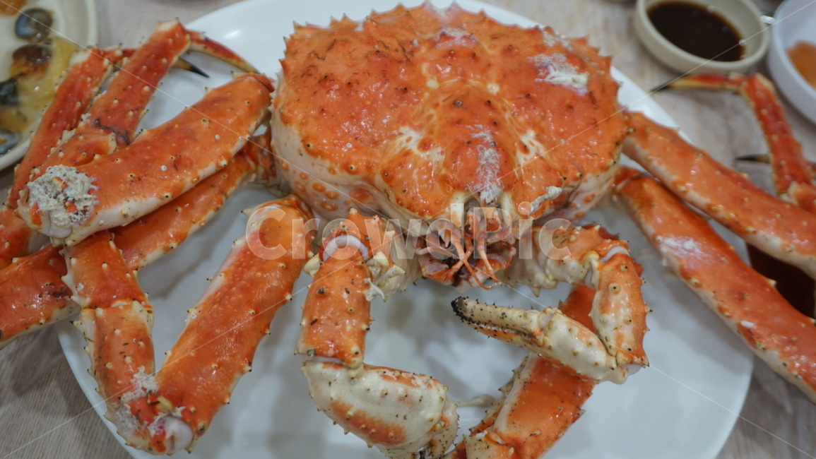 킹크랩,해산물,food,음식,seafood,해물,kingcrab,crab,무척추동물,게