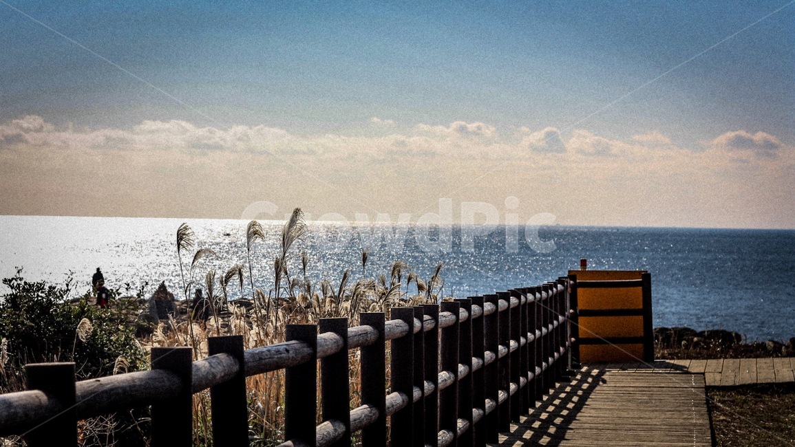 바다,갈대,풍경,제주,하늘,자연,풍경,nature,landscape,railing,난간,handrail,banister,grass,잔디,plant,식물