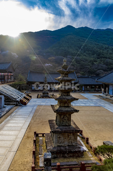 화엄사,오층석탑,석탑,사찰,문화유산,문화재,전통건축물,기와,하늘,구름,지붕,추녀,감성