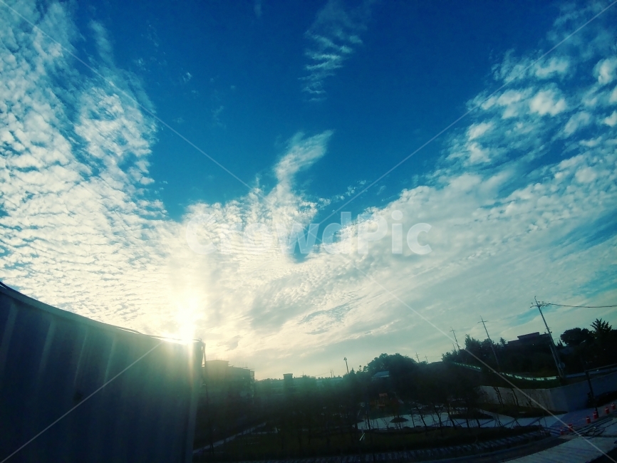 하늘,구름,양털구름,새,날개,비상,봉황,주작,양털,뭉실뭉실,말랑말랑,바람,흐름,빛,태양,희망,예쁜,아름다운,멋진,철근,건설,현장,건물,안전,주름,휘영청,크래인,타워크래인,전선,콘테이너,건축물,나무,자연,풀,집,전봇대,눈,밭,길,도로,벽,시멘트,담,오르막,내리막,맑은,깨끗,시원,따뜻,광각,렌즈,진청,파란,흰,회색,갈색,노란색,검은색,초록색,청녹색,이동,유동,Sky,cloud,woolrun,bird,wing,emergency,Phoenix,mainframe,wool,soft,wind,flow,light,sun,hope,beautiful,straightforward,straightyarchitecture,자연,풍경,nature,landscape,flare,플레어,outdoors,옥외,sunlight,햇빛