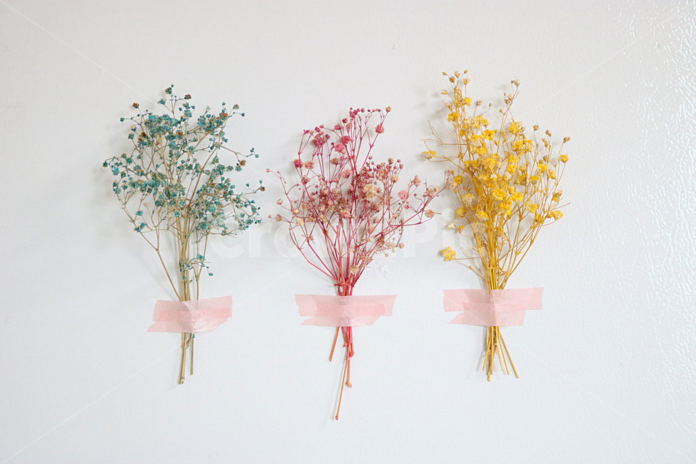 안개꽃,드라이플라워,꽃,플라워,벽데코,꽃소품,인테리어소품,꽃,flower
