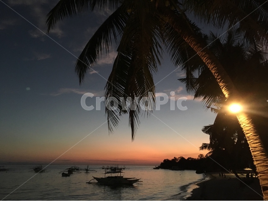야자나무,해변,여름,휴가,palm,여름,계절,summer,season,자연,풍경,nature,landscape,해변,바다,beach,sea,light,빛,flare,플레어,transportation,교통,vehicle,차량,boat,보트,sunlight,햇빛