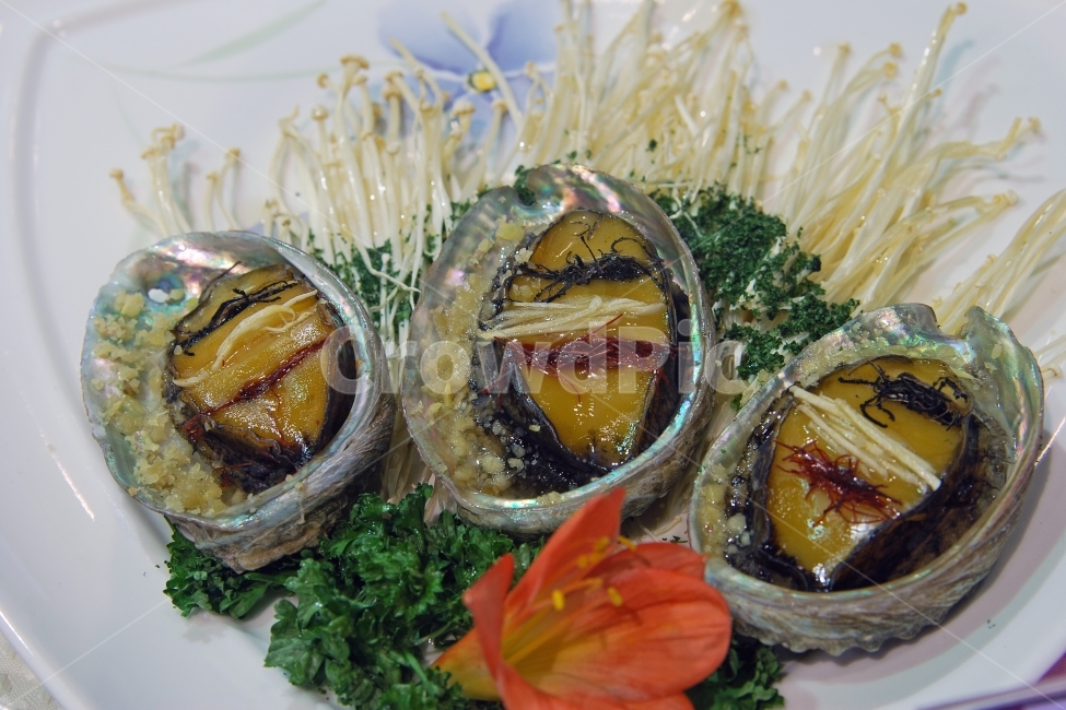 전복찜,전복,해산물,해물,해물요리,수산물,어패류,씨푸드,푸드,음식,요리,전복요리,전복구이,음식,식재료,요리,food,cook,meal,dishes,food reserves,수산물,해산물,fishery products,seafood
