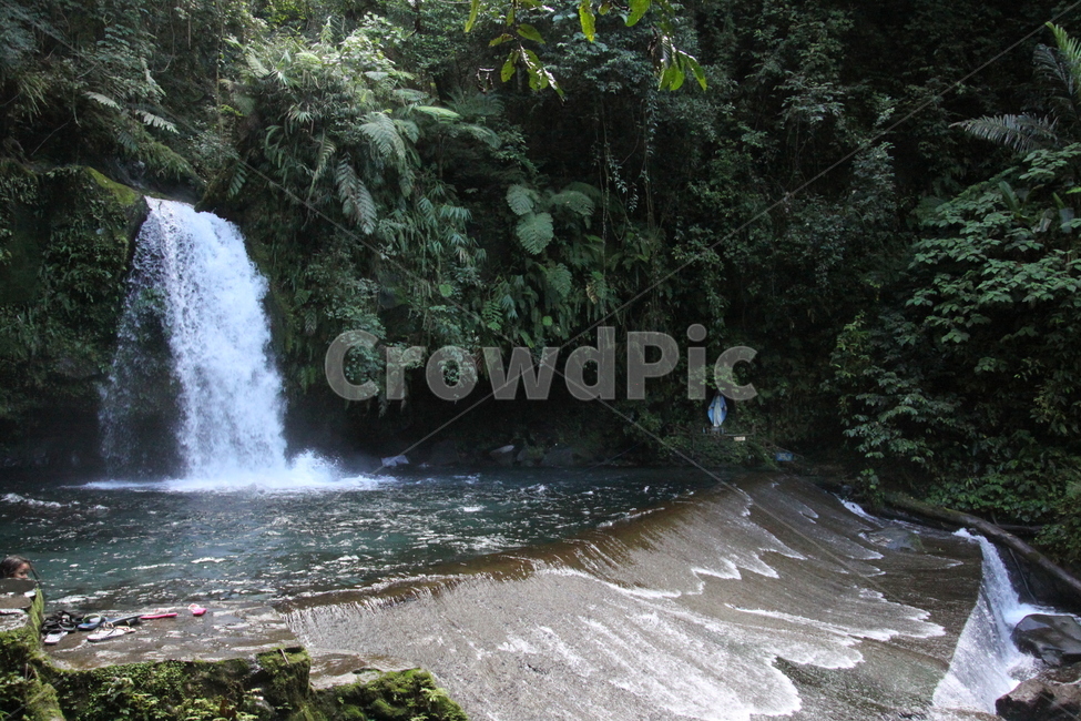 자연,폭포,나무,숲,물,자연,풍경,nature,landscape,water,river,강,outdoors,옥외,waterfall