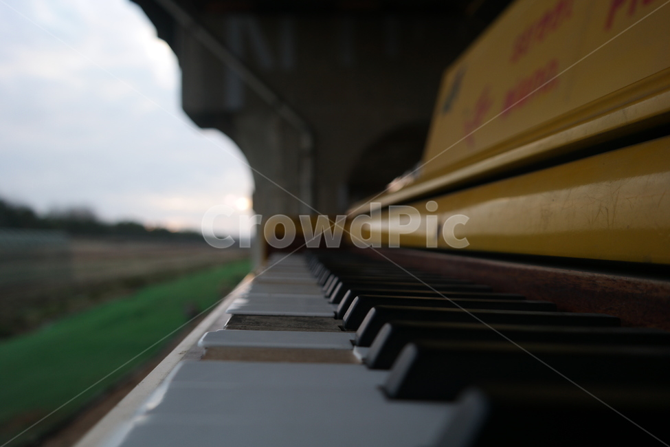 피아노,건반,저녁,다리,고잔,악기,음향기기,musical instrument,musical equipment