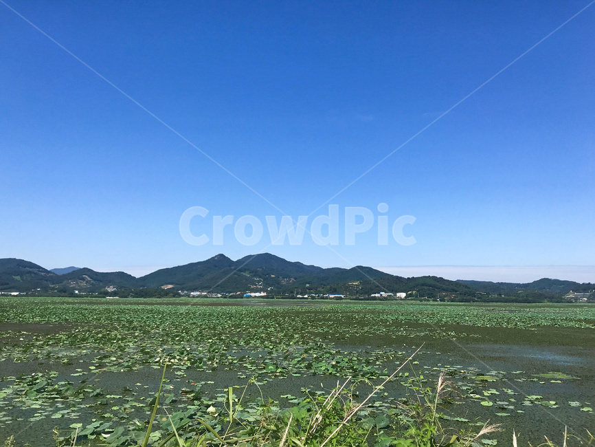 자연,옥외,들,목초지,하늘,산,잎,저수지,야외,background,beautiful,blue,green,leaves,mountain,natural,nature,organic,outdoor,plant,pond,scenery,sky,view,water,연못