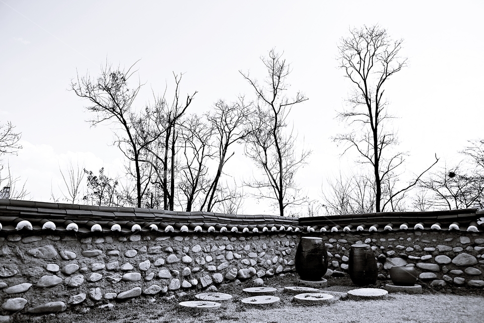 마당,담,항아리,나무,풍경,자연,배경,자연,풍경,nature,landscape,한국전통,한국문화,korean traditional,korean culture,transportation,교통,train track,기찻길,rail,레일,railway,철도