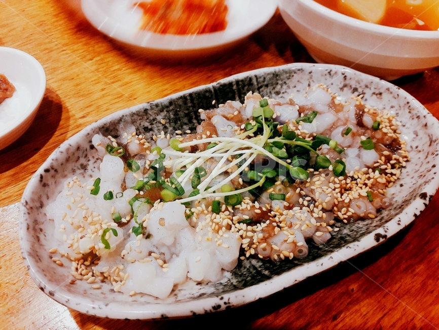 낙지,산낙지,낙지탕탕이,날것,날음식,고소한,해산물,음식,음식,식재료,요리,food,cook,meal,dishes,food reserves,수산물,해산물,fishery products,seafood