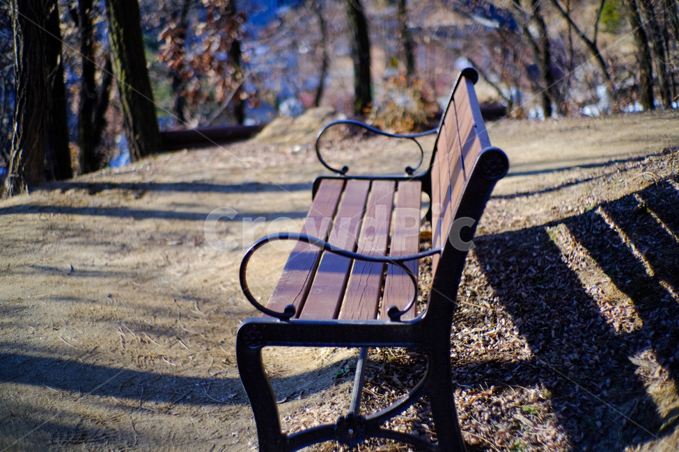 Bench,winter park,chair,winter,park