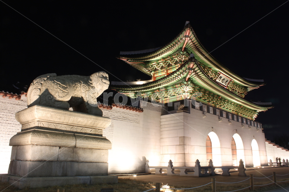 해태,광화문,경복궁,서울,밤,문화재,전통,한국전통,도시풍경,조형물,조각상,동상,석상,야경,도시