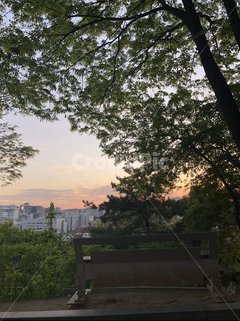 노을,서울,숲,벤치,아파트,자연,풍경,nature,landscape,tree,나무,plant,식물