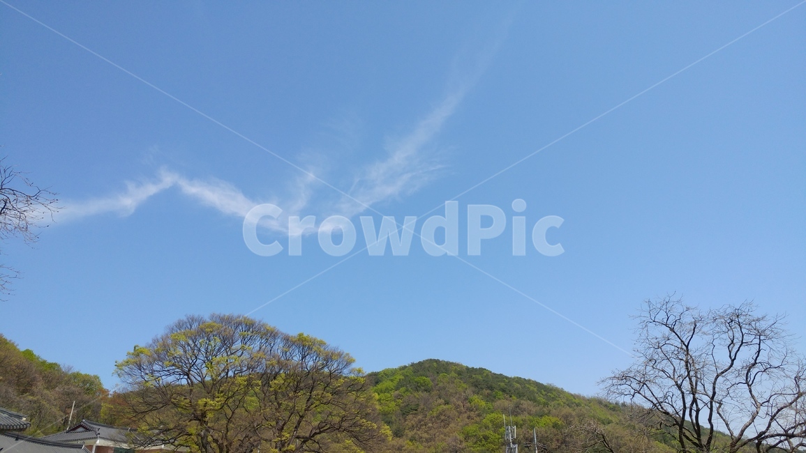 산,나무,하늘,구름,맑은