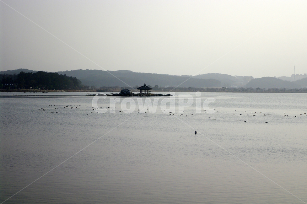 호수,경포호,강릉,풍경,자연,물,nature