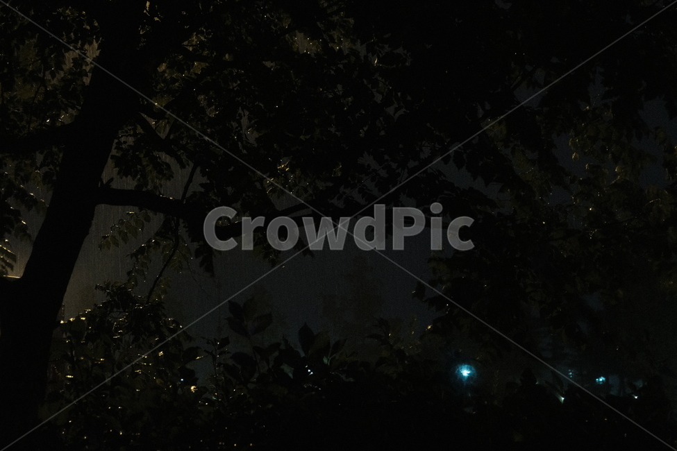 비,비오는날,비오는밤,야경,밤비,자연,풍경,nature,landscape,야경,밤,nightscape,night,outdoors,옥외