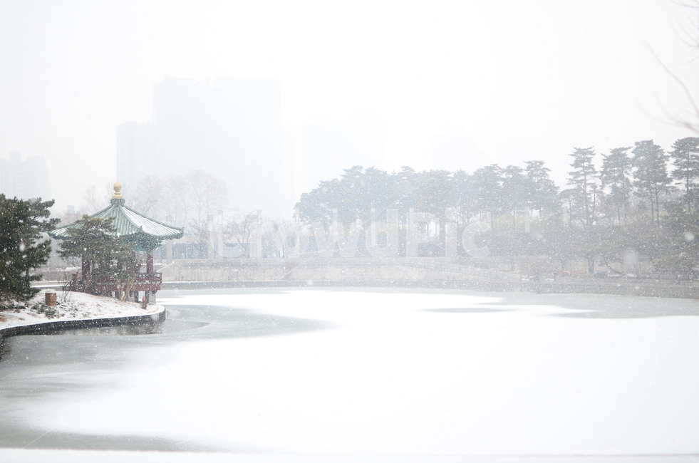 nature,자연,outdoors,옥외,weather,날씨,눈,얼다,내려앉다,팔각정,지붕,뿌연,추운,눈밭,겨울,계절,winter,season,자연,풍경,nature,landscape