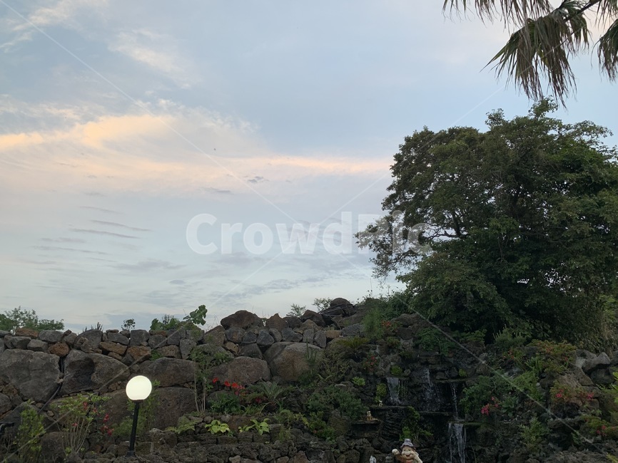 하늘,돌담,제주도,정원,풍경,자연,나무,구름,노을,jeju,nature,sky,tree,cloud,sunset,garden,landscape