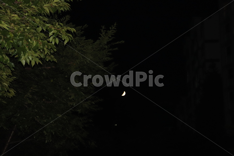 달,밤,초승달,나무,감성,작은달,숨은달,자연,풍경,nature,landscape,야경,밤,nightscape,night,outdoors,옥외,outer space,대기권 밖,universe,우주,astronomy,천문학,moon,space