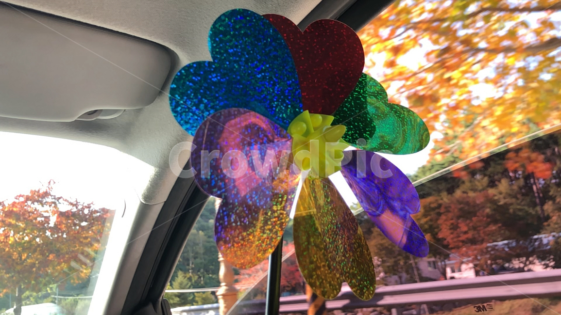 바람개비,드라이브,알록달록,가을,단풍,운전,여행,바람,힐링,car,drive