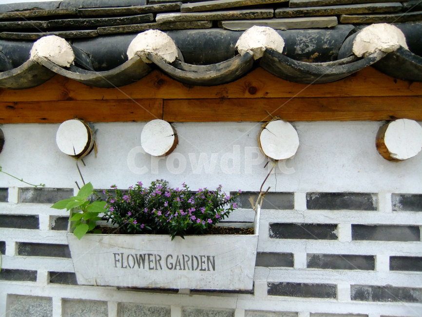 한옥,기와,화분,꽃,원예,한국전통,한국문화,korean traditional,korean culture,건축물,건물외관,exterior,building,structure,architecture,construction