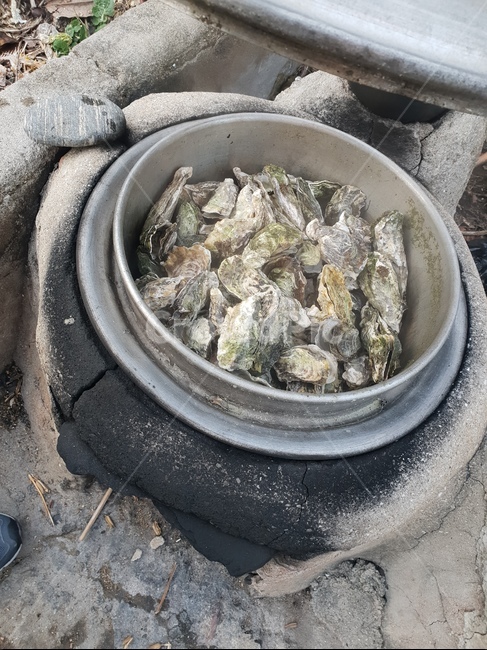 굴,가마솥,삶은굴,아궁이,완도,음식,식재료,요리,food,cook,meal,dishes,food reserves,수산물,해산물,fishery products,seafood